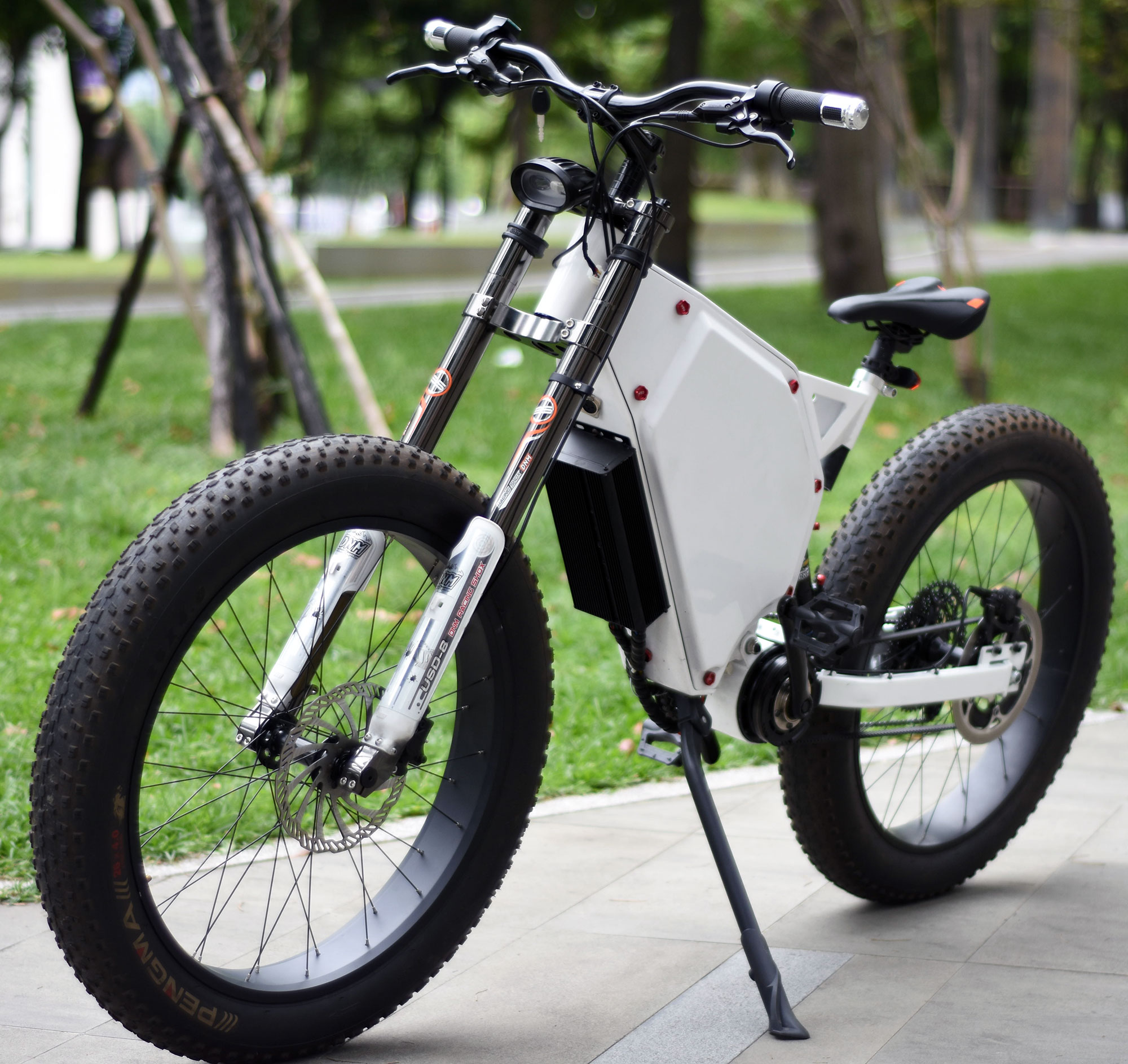 2.4KW~6kw enduro e-bike coaxial Gates Carbon drive